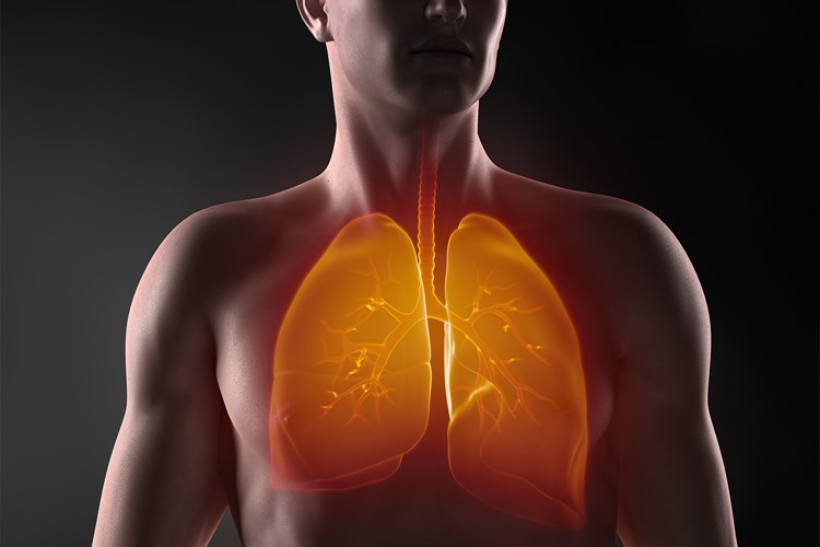 Lidem v Praze a Středočeském kraji se otevřou dveře ambulancí plicních lékařů