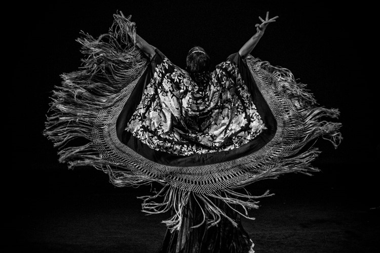 Praha oslaví mezinárodní den flamenka festivalem