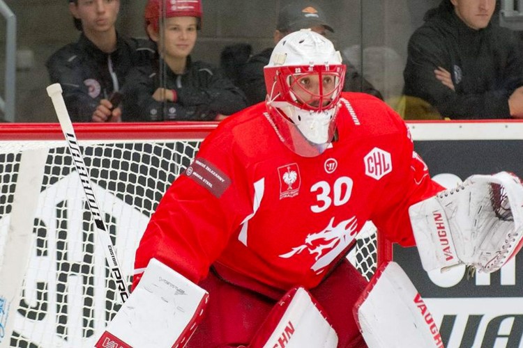 Třinec porazil HV71 a Oceláři jsou v play off