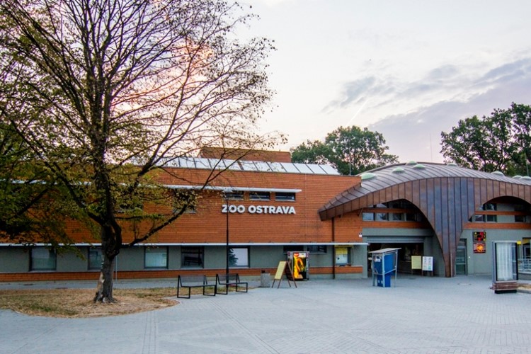 Pod hladinou latinskoamerických řek 
