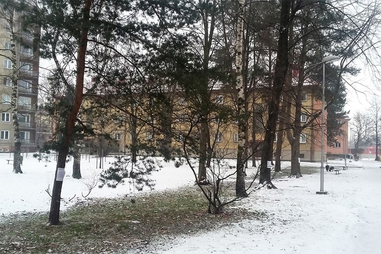 Oprava horkovodu ve Frýdku-Místku si vyžádá kácení stromů