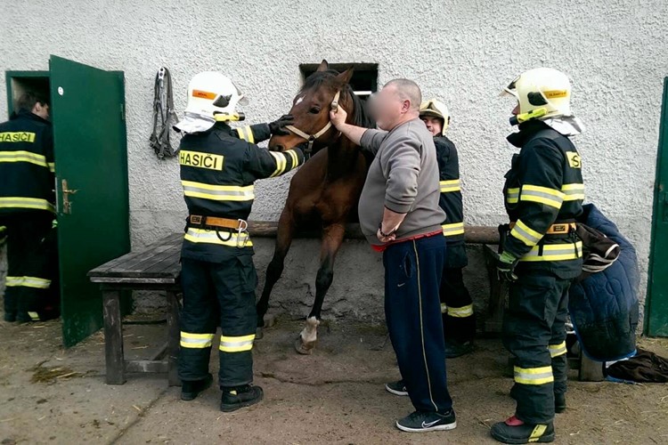 Záchrana koně uvězněného v okně se šťastným koncem