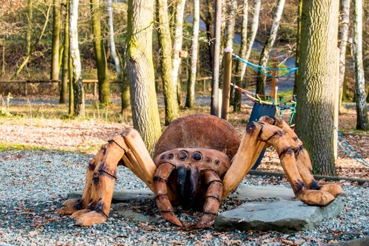 Obří pavouk v Zoo Ostrava
