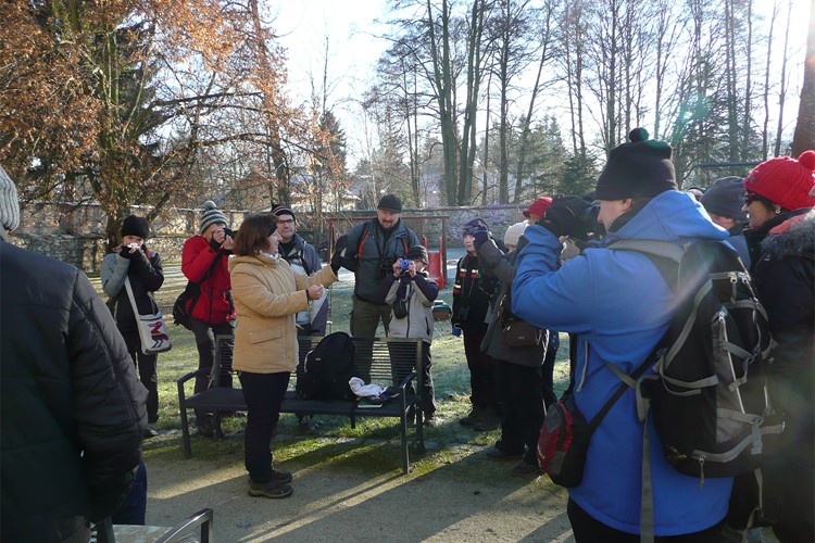 Ptáci v zimě nespí, aneb poslední vycházka roku 2016