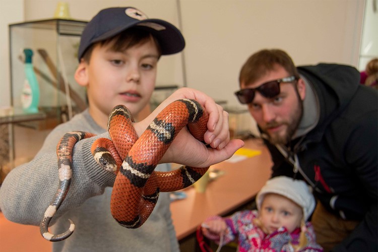 Výstaviště Zahrada Čech naplno ožívá výstavou Děti a zvířata