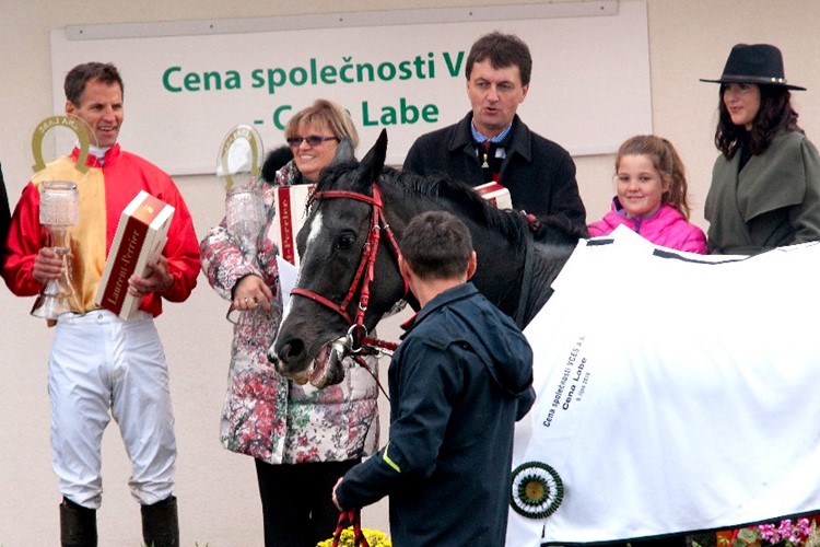 Delight My Fire splnila kvalifikaci na Velkou pardubickou 
