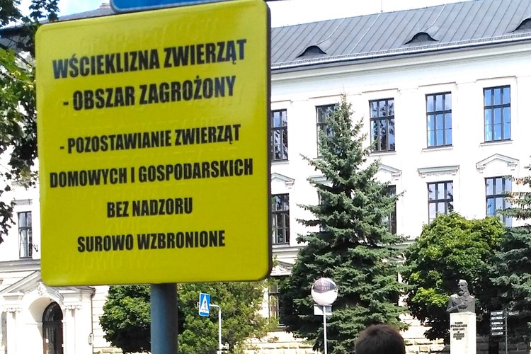 Těsně za hranicí se objevila vzteklina