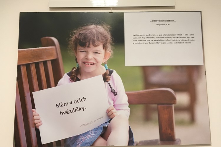 Sanaplasma v Ostravě již potřetí upozorňuje na život dětí s Williamsovým syndromem 