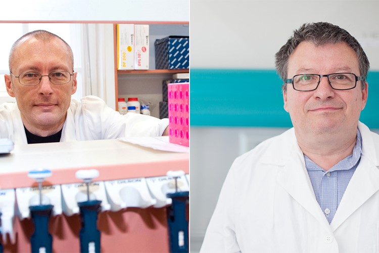 Málo anatomů aneb Konec medicíny v Čechách 