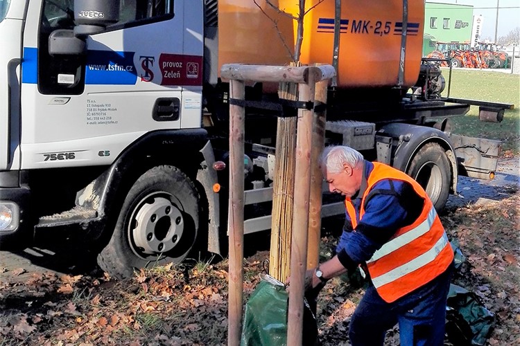Frýdek-Místek vysadí další stovky stromů a keřů, bude mezi nimi i strom lásky