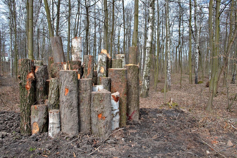 Přírodní lokalita Gliňoč - broukoviště.
