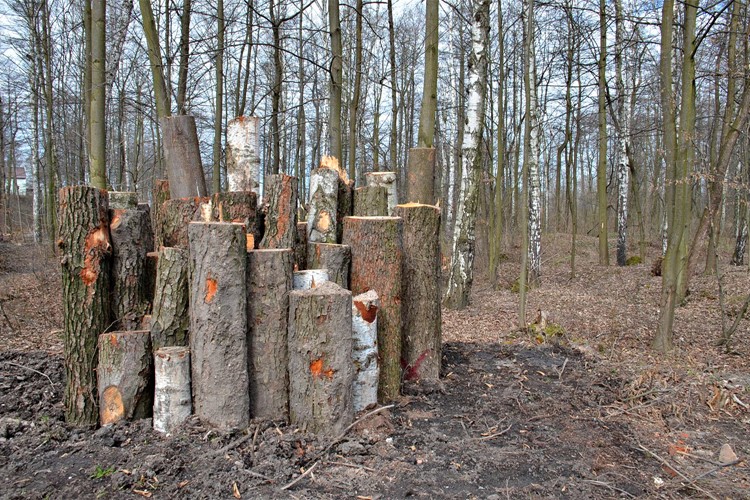 V bohumínském Gliňoči vznikají hadníky a broukoviště