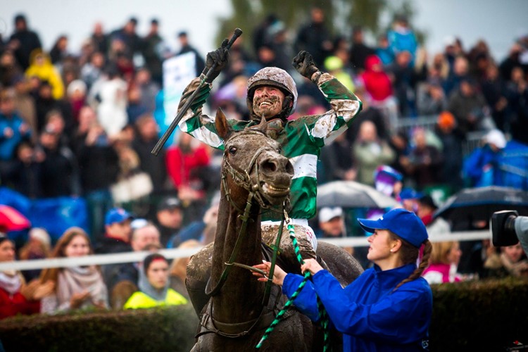 V prvním kole přihlášek na Velkou pardubickou osmatřicet koní