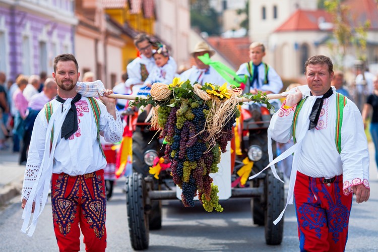 Druhý zářijový víkend bude v Mikulově opět žít Pálavským vinobraním