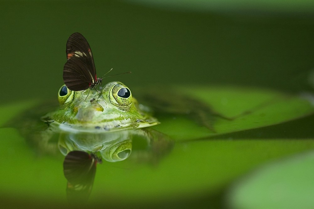 Ilustrační foto.