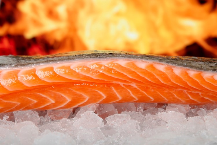 Losos jako zdroj omega-3 kyselin nestačí