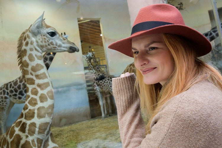 Mládě žirafy severní núbijské dostalo jméno Nela