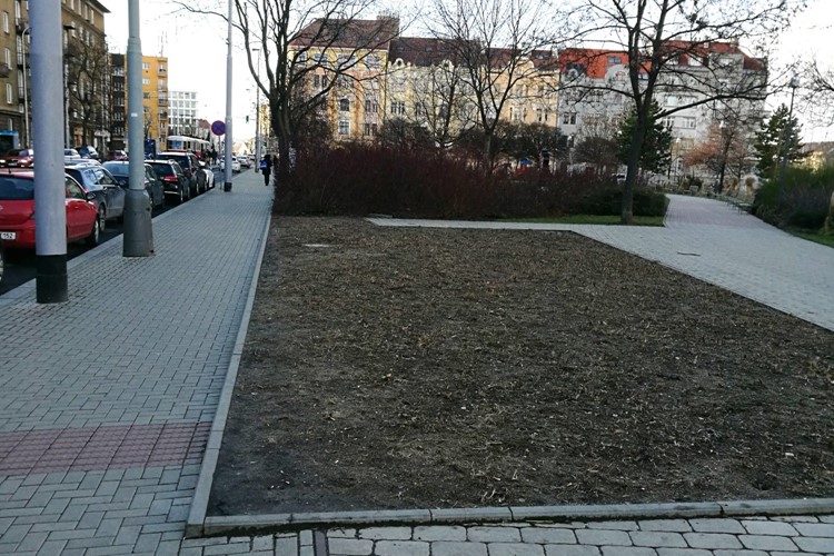 Praha 7 vyhlásila soutěž na kavárnu v parku na Ortenově náměstí