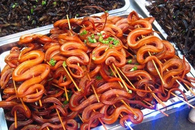 Extrem food festival chce vytvořit český rekord v počtu lidí pojídajících hmyz na jednom místě