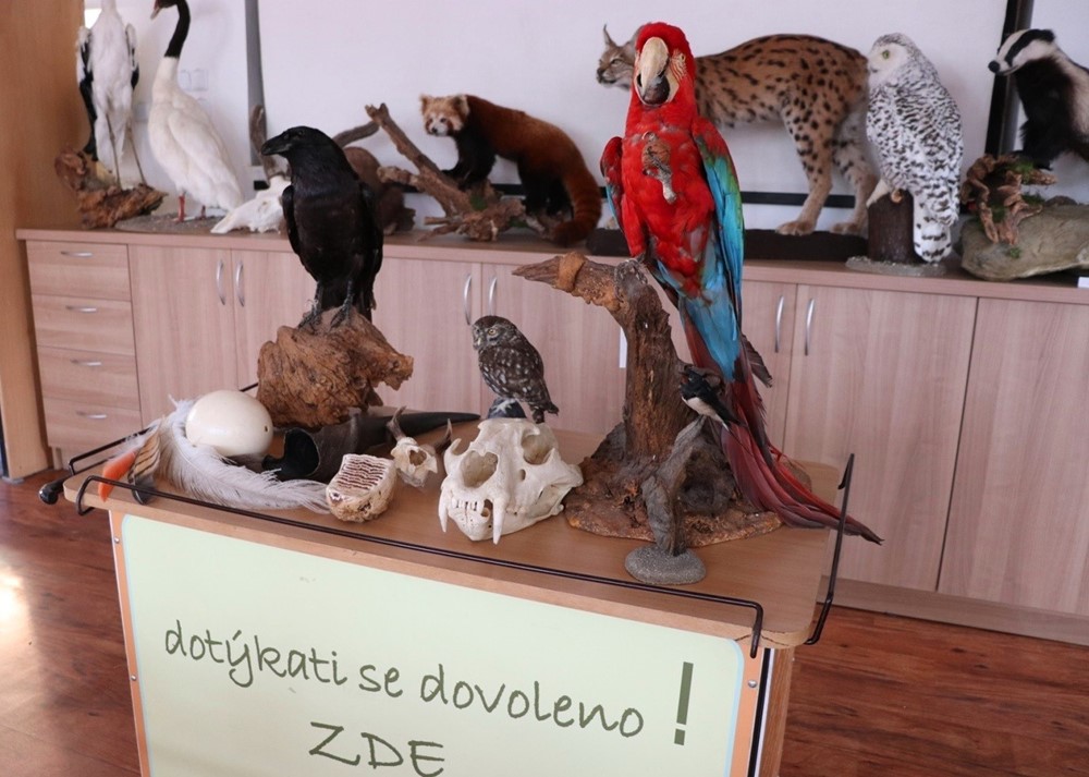 Výukové centrum Zoo Ostrava.