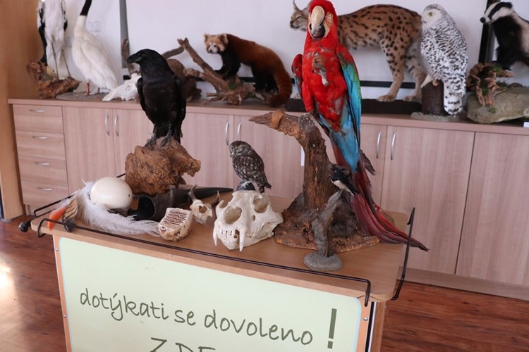 Jarní prázdniny v Zoo Ostrava