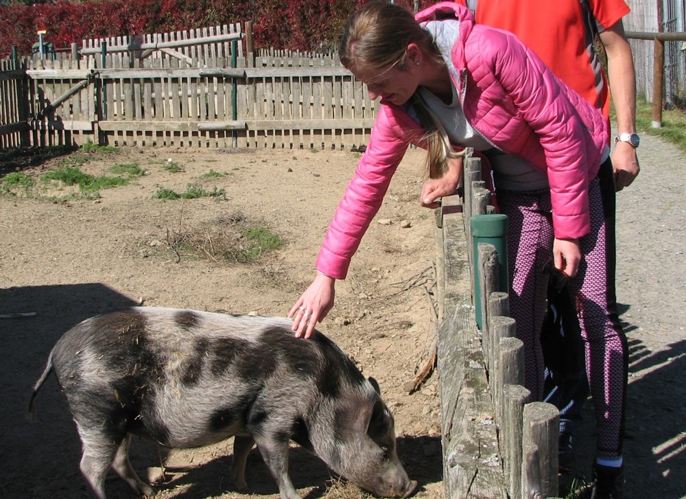 Silvie Rokosová pravidelně jezdí do ZOO Tábor nejen za adoptivním Čunimírem, prasátkem göttingenským, kterého dostala jako originální dárek