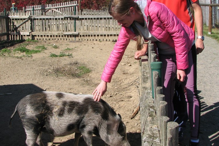 Dočasně uzavřená ZOO Tábor přichází každý měsíc o statisíce korun