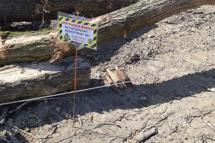 Při pyrotechnickém průzkumu byla na skládce odpadů v Rapotíně nalezena munice