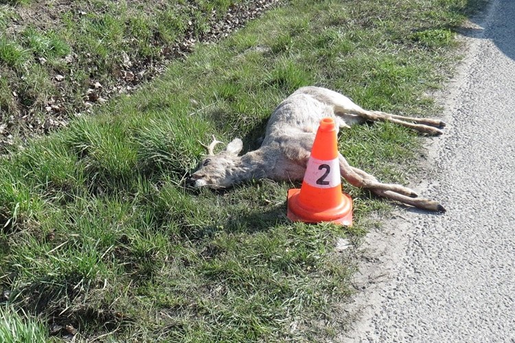Skryté nebezpečí na nás neustále číhá i na silnicích