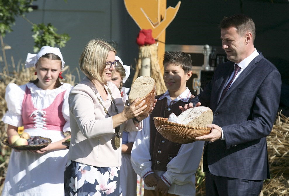 Semilský pecen 2019.